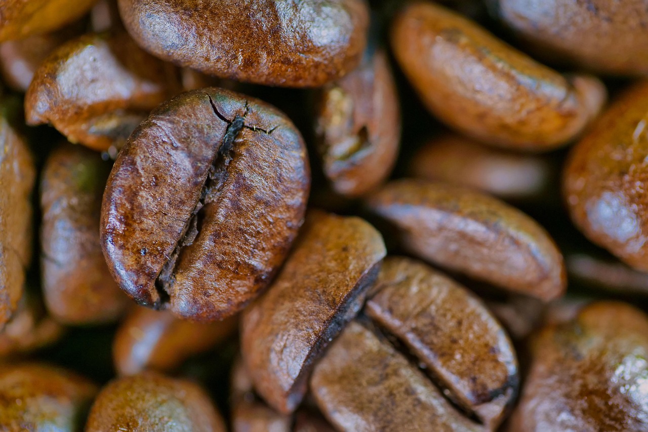 entdecken sie alles über koffein: wirkung, vorteile, risiken und wie es ihren alltag beeinflusst. informieren sie sich über koffein in lebensmitteln, getränken und nahrungsergänzungsmitteln.