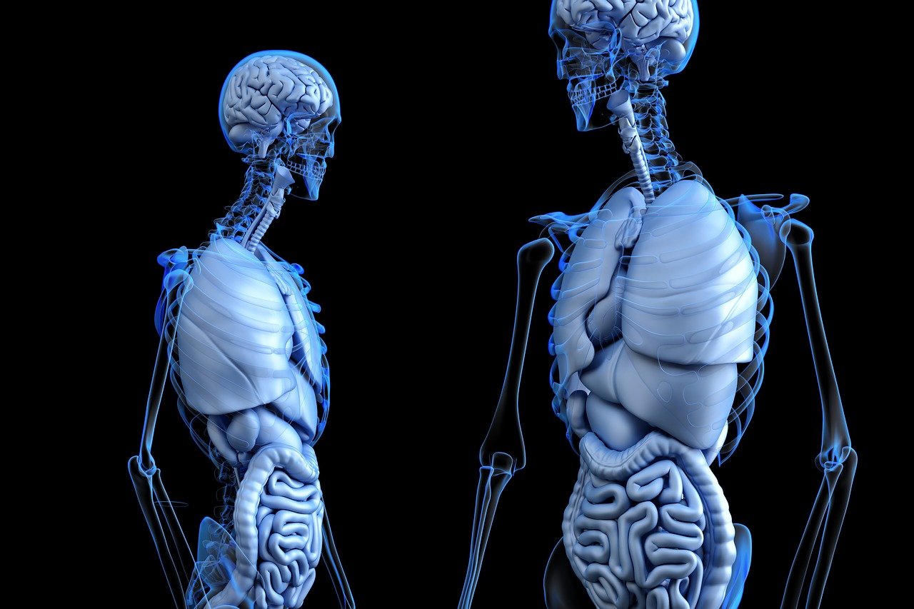 entdecken sie die faszinierende welt des darmmikrobioms: erfahren sie, wie die bakterien in ihrem darm ihre gesundheit, verdauung und ihr immunsystem beeinflussen können.